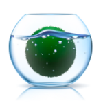 NFT「marimo(マリモ)」の7つの特徴(買い方・育て方についても解説)
